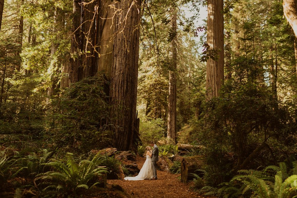 Redwood Forest Wedding Photographer