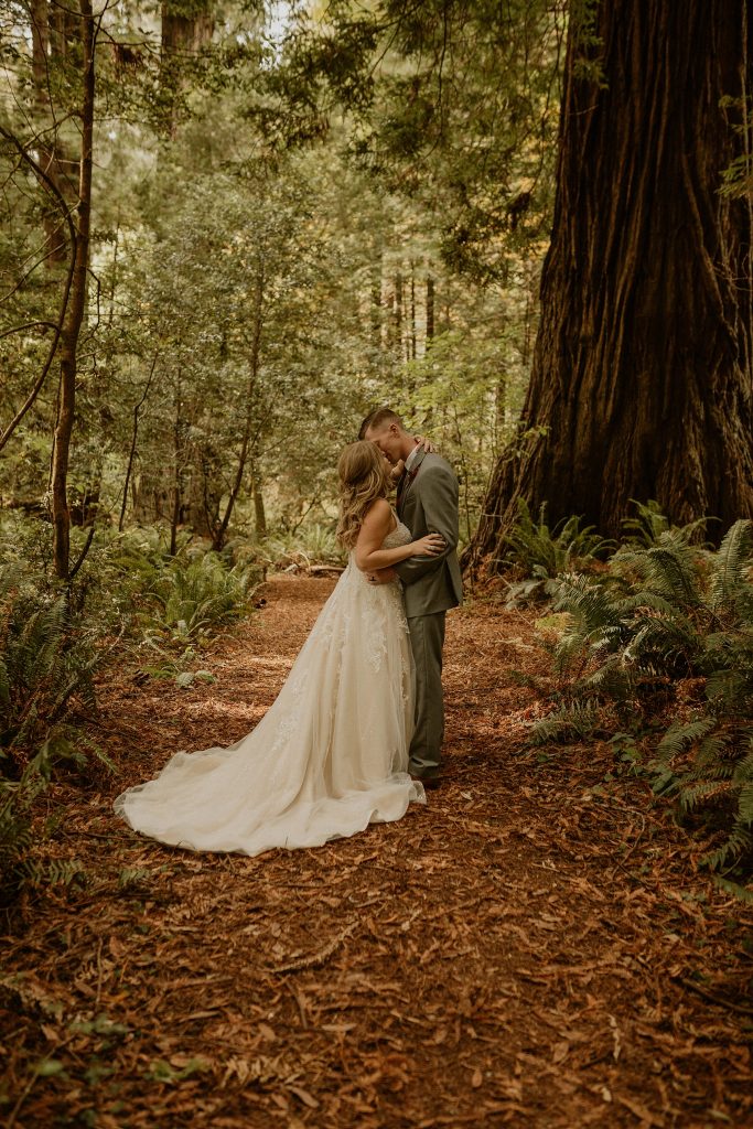 Redwood Forest Elopement Photographer